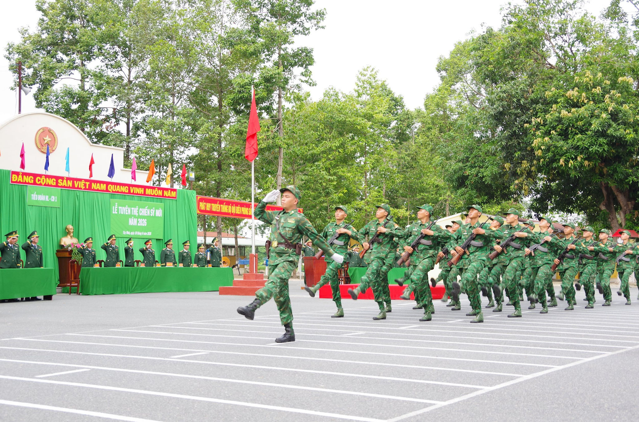 tn-3.jpg