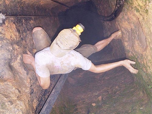 Phu vàng liều mạng