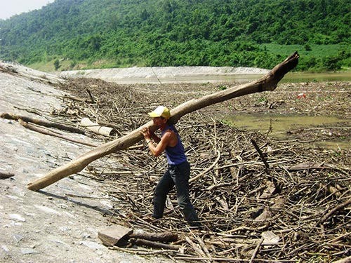 Sao không trả nợ rừng?
