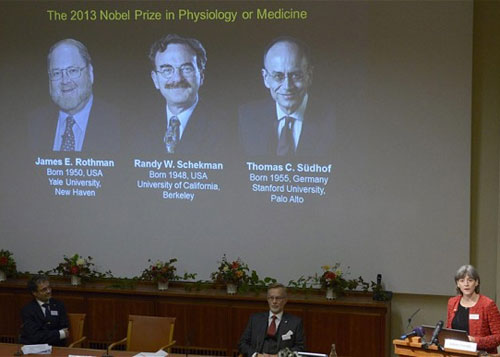 Nobel Y học đã có chủ