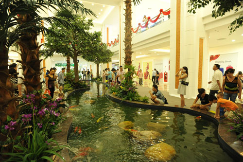 C&aacute; Koi Nhật tại TTTM Royal City được nhiều người quan t&acirc;m, y&ecirc;u th&iacute;ch