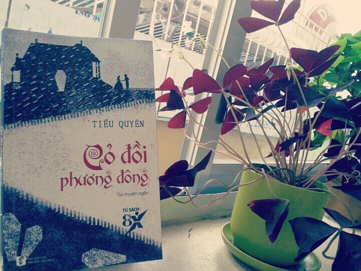Cỏ đồi phương Đông là tác phẩm thứ 3 của Tiễu Quyên