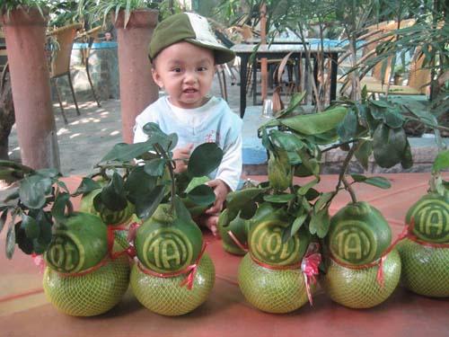 Bưởi hồ l&ocirc; c&oacute; in h&igrave;nh &ldquo;T&agrave;i- Lộc&rdquo; gi&aacute; cao hơn nhiều so với mọi năm nhưng vẫn kh&ocirc;ng đủ h&agrave;ng.