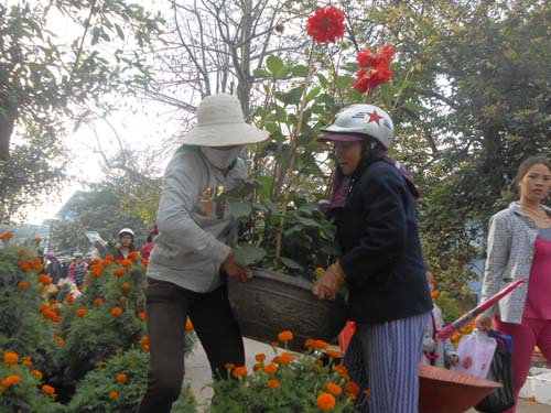 Cả những chậu hoa vạn thọ, hoa mai... được chuyển từ đất liền ra còn sắc hương thơm, khoe sắc dưới nắng xuân, làm cho không khí vui xuân đón tết của người dân trên đảo tiền tiêu thật vui tươi rộn rã.
