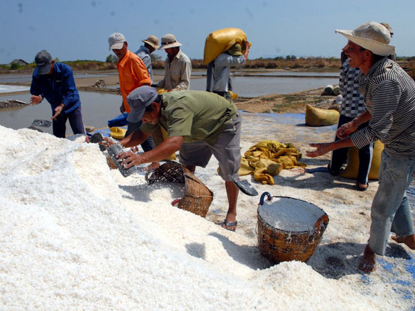 Nhà nhà tại xã Lý Nhơn đang vào mùa thu hoach muối. Từ nghề này mà đời sống của bà con ngày càng khấm khá hơn.