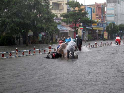 Nhiều phương tiện t&eacute; ng&atilde;.