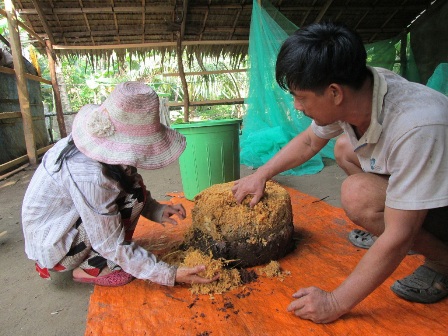 Anh Ph&uacute;c vừa hạ một c&acirc;y dừa &nbsp;v&igrave; đ&atilde; bị h&eacute;o đọt do đu&ocirc;ng tấn c&ocirc;ng