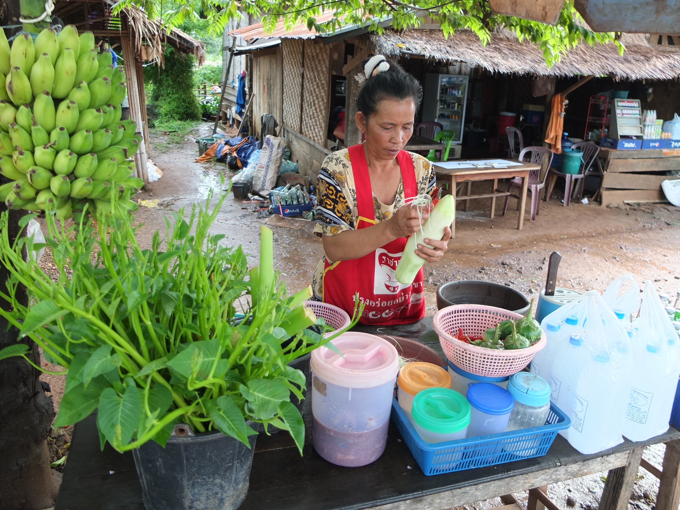 Một h&agrave;ng b&aacute;n tẩm sụm thường thấy ở L&agrave;o