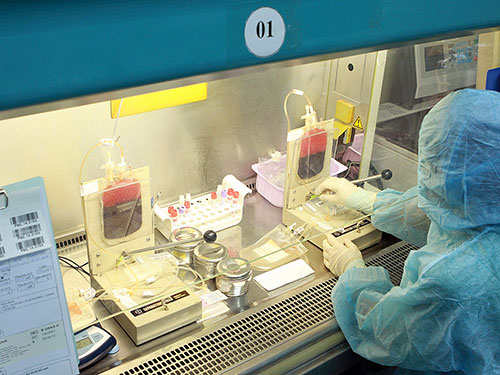 Bio-Rad hối lộ: Đề nghị Bộ Công an vào cuộc