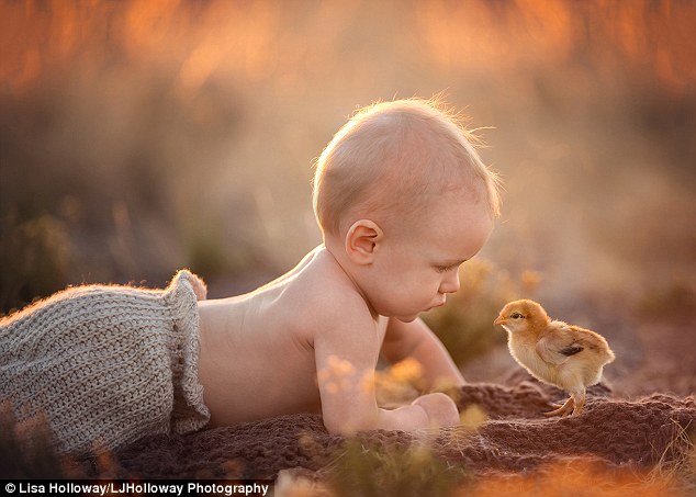 Chick magnet: Asked how she manages to juggle such a large family with her Las Vegas-based family photography business, Ms Holloway says her main focus is on her children. Pictured, Gabriel