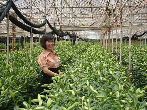 Tỉ phú nông nghiệp công nghệ cao