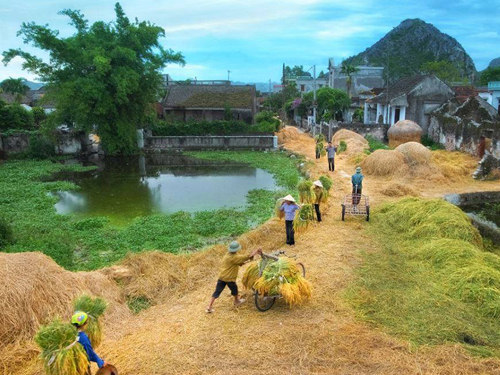 Quê hương trong tâm khảm nhiều người. Ảnh minh họa từ internet
