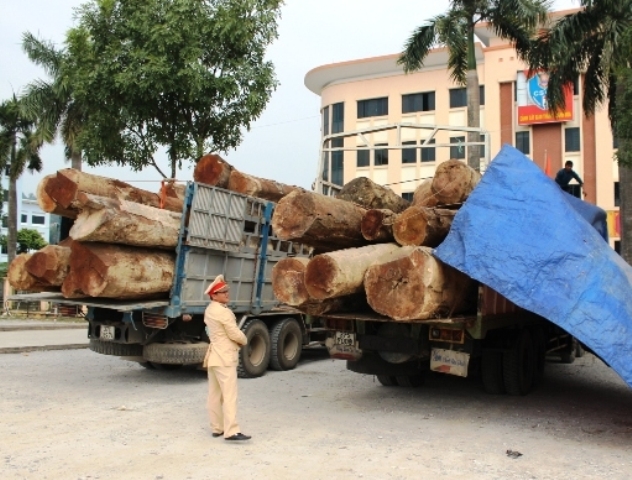 Hai xe gỗ bị CSGT Thanh H&oacute;a bắt giữ ng&agrave;y 14-12, vượt tải trọng 200%