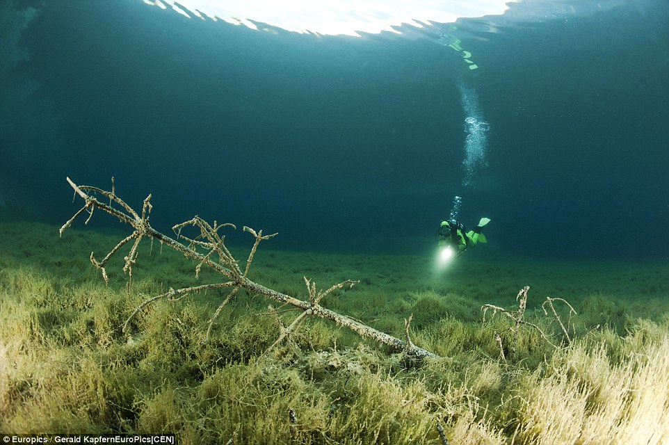 The images show how a summer park becomes a lake each spring complete with underwater trees