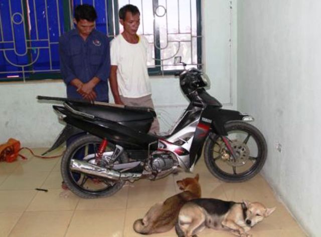 Trộm chó mang đi bán, bị cảnh sát tóm gọn