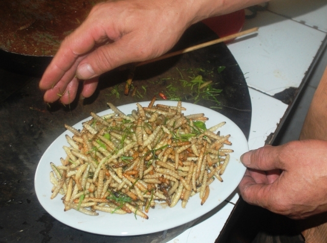 Sau khi chế biến, m&oacute;n s&acirc;u măng trở n&ecirc;n rất hấp dẫn bởi m&ugrave;i thơm ngon, b&eacute;o ngậy. Tuy nhi&ecirc;n cũng c&oacute; nhiều người &aacute;i ngại kh&ocirc;ng d&aacute;m ăn.
