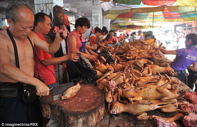 Người d&acirc;n th&agrave;nh phố Ngọc L&acirc;m - Trung Quốc giết mổ thịt ch&oacute; c&ocirc;ng khai.