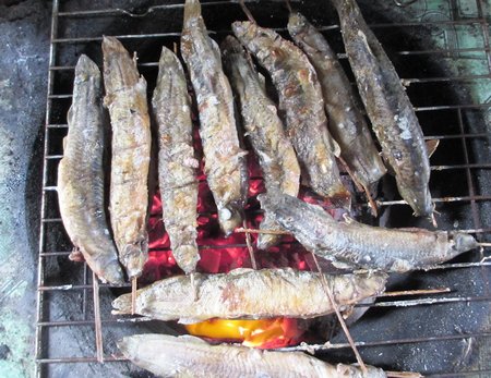 Về phương Nam, thèm món cá đồng