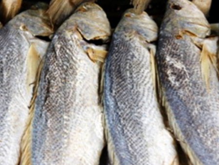 Món ngon từ cá sửu An Giang