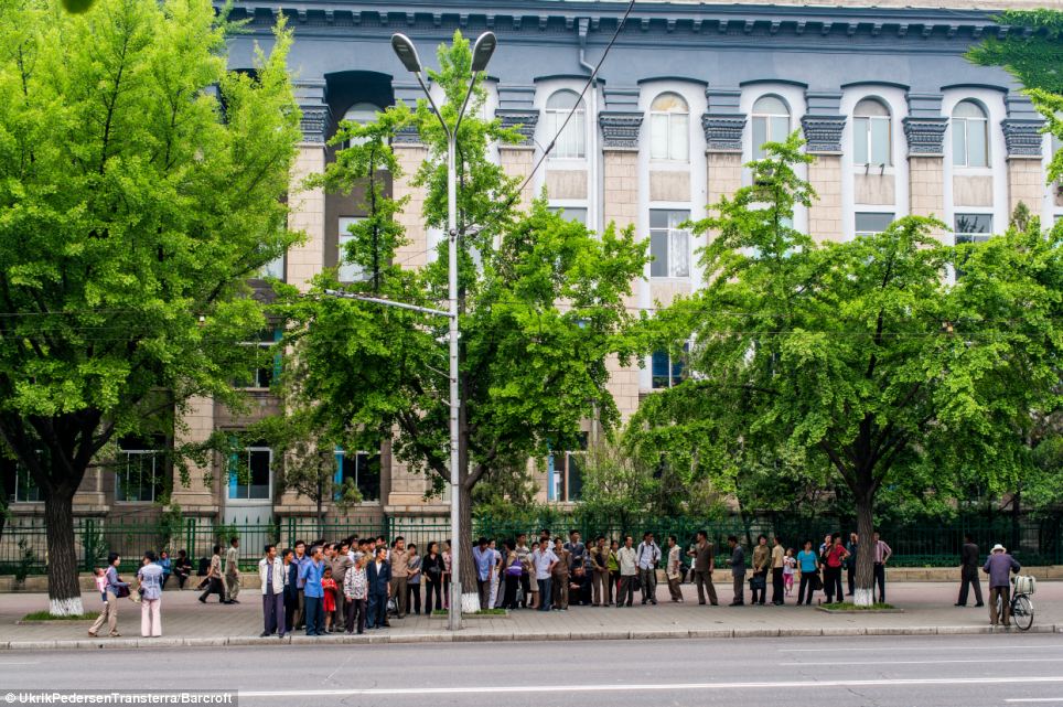 Get to work: Commuters in Pyongyang wait in a long line in order to catch the bus to and from work in the city centre on the countrys poor public transport system