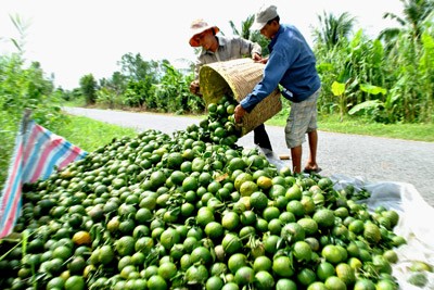 Nhập m&ocirc; tả cho ảnh