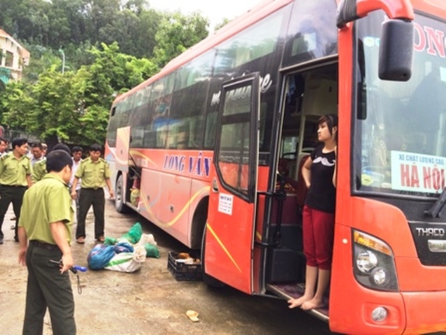 Được "mật báo", kiểm tra 2 giờ mới thấy tê tê, rùa giấu trên xe giường nằm