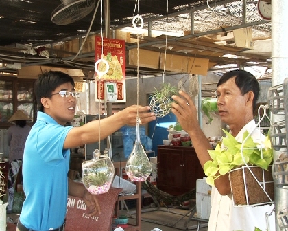 Làng hoa Sa Đéc xuất hiện “cây không khí” thu hút khách hàng