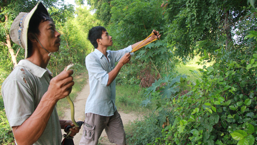 “Xạ thủ” săn rắn