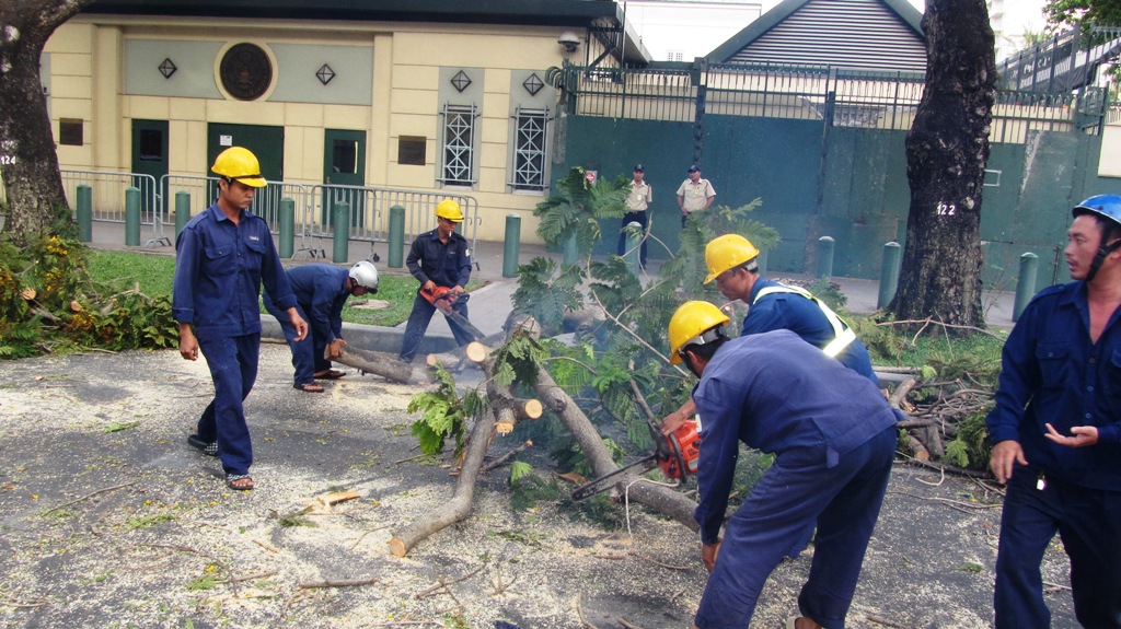 Hiện trường sự cố nh&aacute;nh c&acirc;y rơi xuống đường l&agrave;m hai c&ocirc; g&aacute;i bị thương, nhập viện