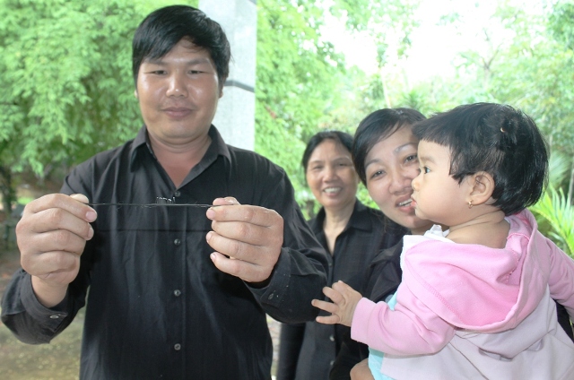 Bình Dương: Hoa Ưu Đàm nở trên dây ni-lông