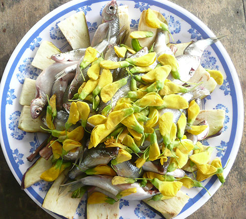 Thưởng thức đặc sản miền Tây mùa nước nổi