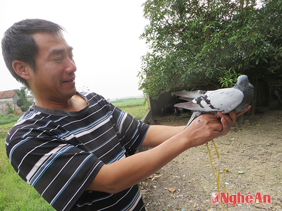 Anh Thắm đang dơ chim lạ