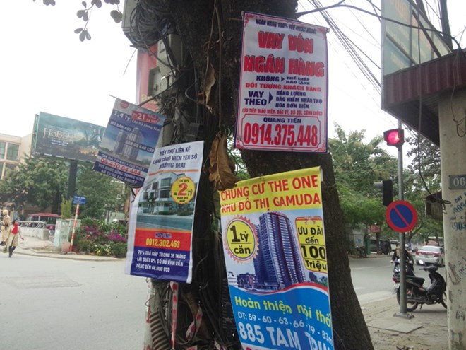 Nơi ngã tư đường đèn xanh đèn đỏ là vị trí đắc địa. Ai cũng muốn bon chen nên gốc cây được tận dụng không còn chỗ trống