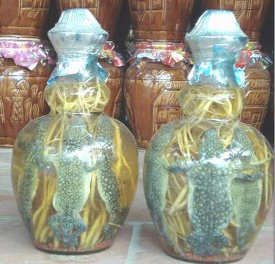 Chọn rượu để quý ông thêm sung