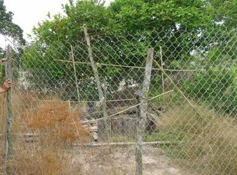 Đổ xô xin đào tìm vàng ở “kho báu” 1.500 kg vàng
