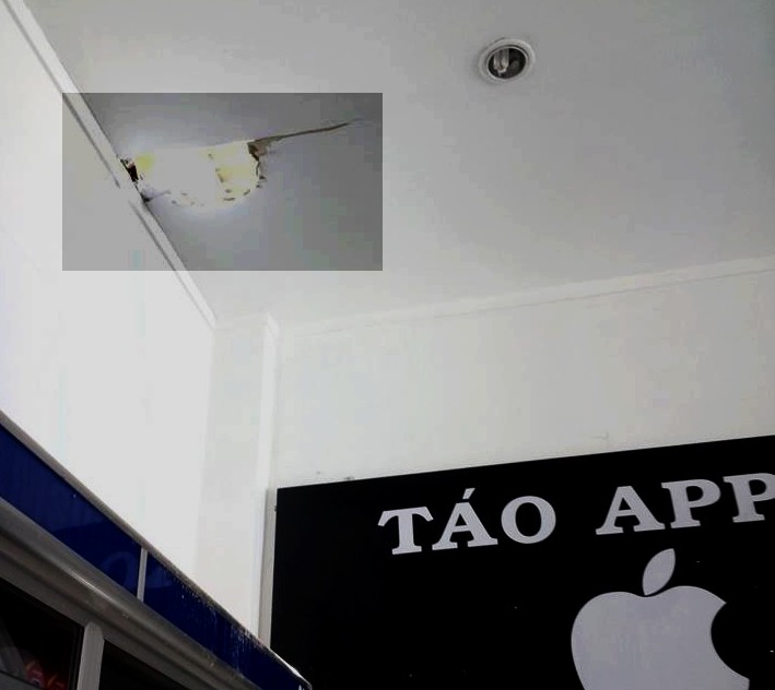 Đột nhập tiệm điện thoại, chôm 3 "dế cùi bắp"