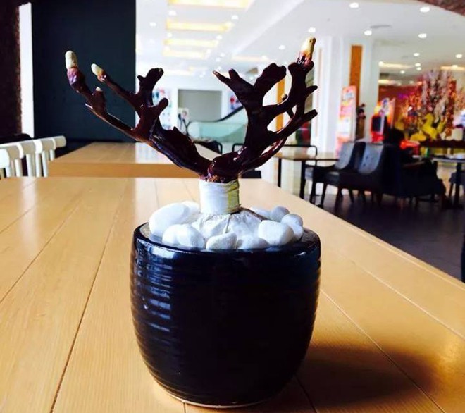 Mốt chơi nấm linh chi bon sai gi&aacute; bạc triệu ở H&agrave; Nội