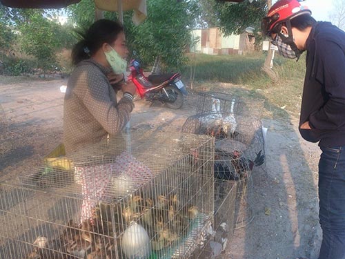 Thả nổi buôn bán gia cầm