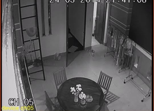 Vụ phát hiện rắn trong máy giặt: người giúp việc được camera minh oan