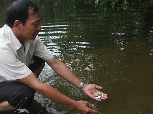 Doanh nghiệp xả thải làm sông ô nhiễm, cá cũng không sống nổi
