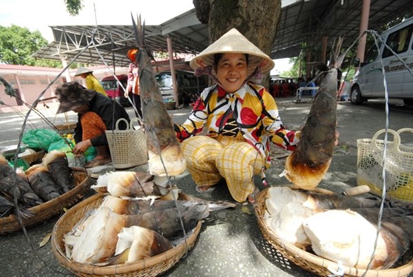 Dân Bảy Núi trúng đậm nhờ măng tre