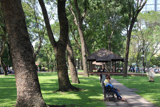 Ngo&agrave;i số cổ thụ ở đường T&ocirc;n Đức Thắng, dự kiến năm 2015 sẽ c&oacute; th&ecirc;m 57 c&acirc;y xanh đoạn từ C&ocirc;ng vi&ecirc;n 23-9 khu A đến chợ Bến Th&agrave;nh bị đốn hạ để khởi c&ocirc;ng nh&agrave; ga Metro trung t&acirc;m Bến Th&agrave;nh.
