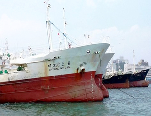Đội t&agrave;u sắt đ&atilde; qua sử dụng ở H&agrave;n Quốc m&agrave; C&ocirc;ng ty CP Đức Khải cho rằng sẽ mua về kinh doanh đ&aacute;nh bắt thủy sản ở v&ugrave;ng biển Việt Nam. Ảnh: N.Huy.