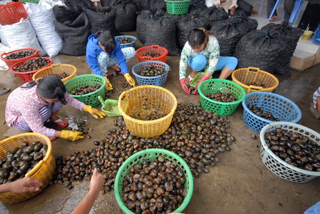 Những chợ đặc biệt chỉ c&oacute; trong m&ugrave;a lũ 