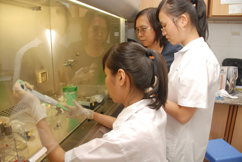 Sinh vi&ecirc;n Trường ĐH Khoa học Tự nhi&ecirc;n - ĐHQG TP HCM trong ph&ograve;ng th&iacute; nghiệm Ảnh: TẤN THẠNH