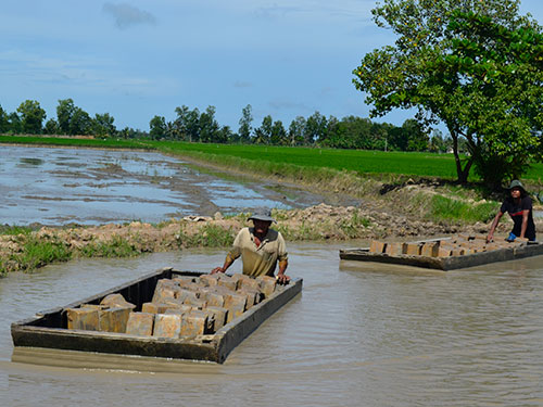 Nông dân huyện Châu Thành, tỉnh Trà Vinh rầm rộ bán đất sét ruộng