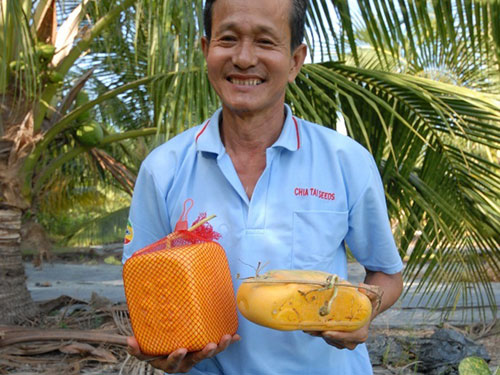 Nắn trái cây “độc” bán Tết