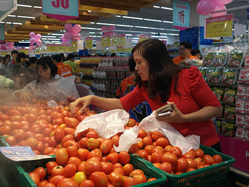 Hỗ trợ tiêu thụ cà chua Đà Lạt