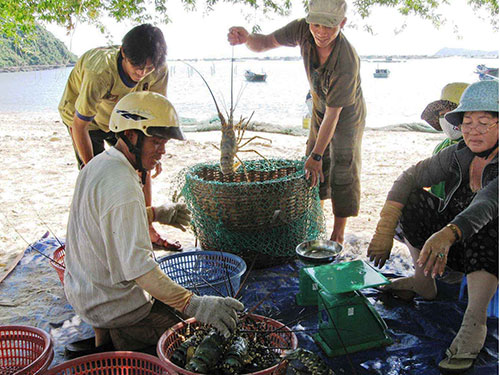 Thích ứng với rào cản