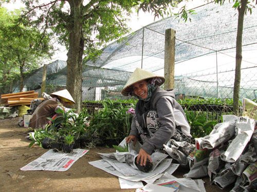 Lan chơi Tết cháy hàng